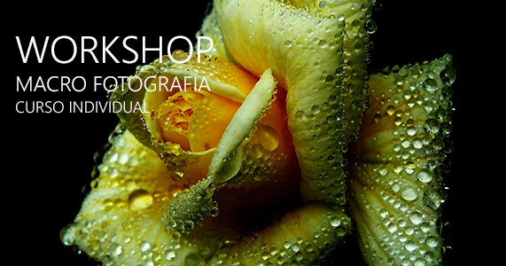 workshop Macro Fotografia